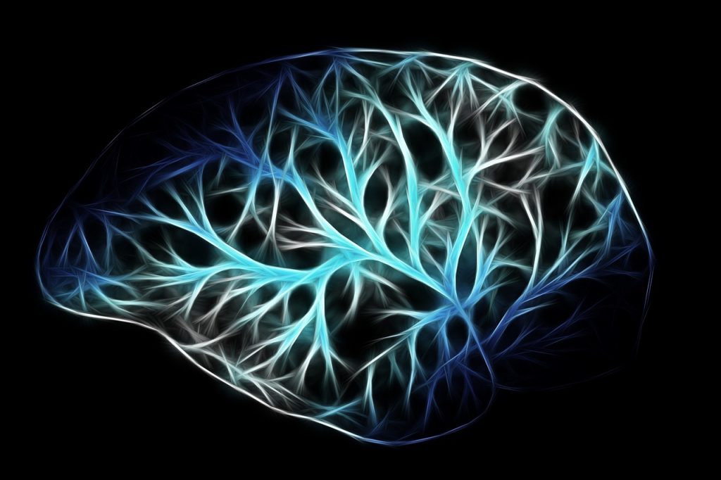 Човечкиот мозок – најмоќниот орган во нашето тело 1 brain 2676370 1280