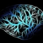 brain-2676370_1280