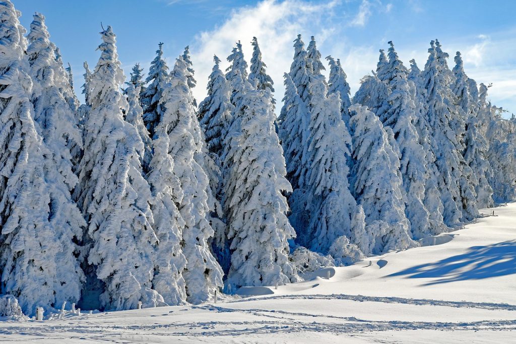 Ведро и ладно утро, викендов нов ладен бран со можен снег и во градовите 1 wintry 2993370 1280