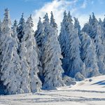 wintry-2993370_1280