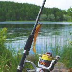 ЗРСК „Шаран“ стартува со продажба на риболовни дозволи за 2026 година fishing-887523_1280