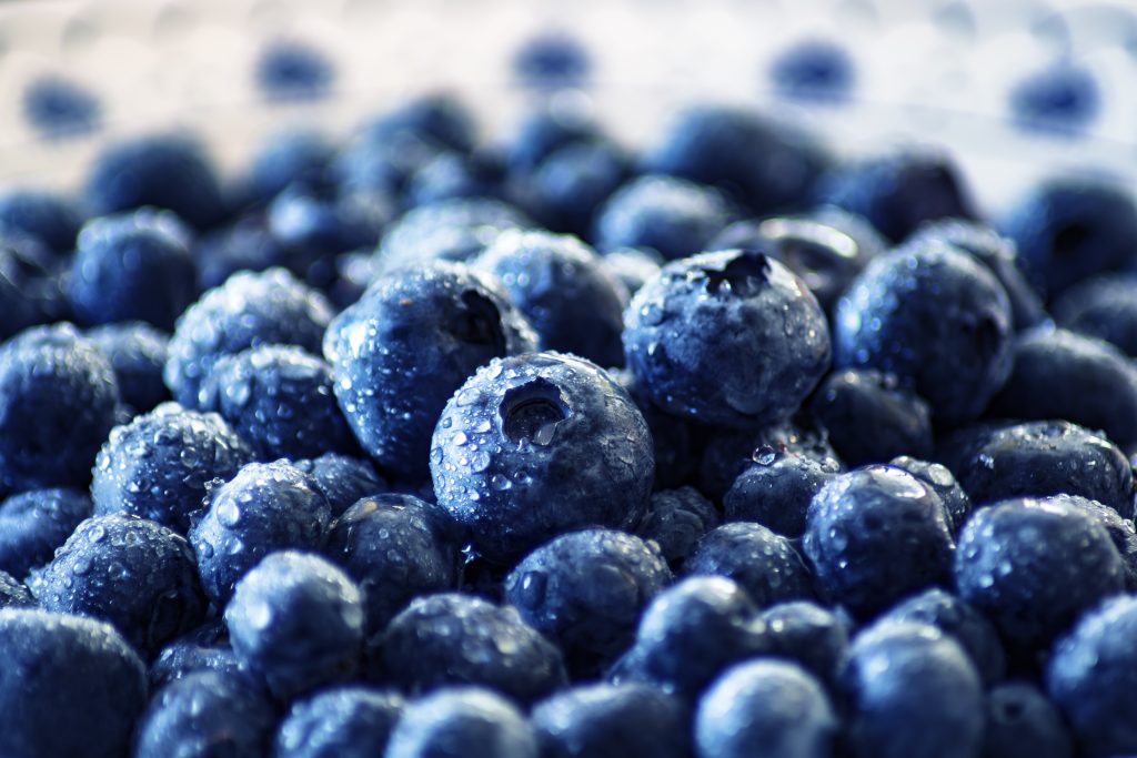 Боровинките – мали плодови со огромна корист за здравјето 1 51581 blueberries 3460423