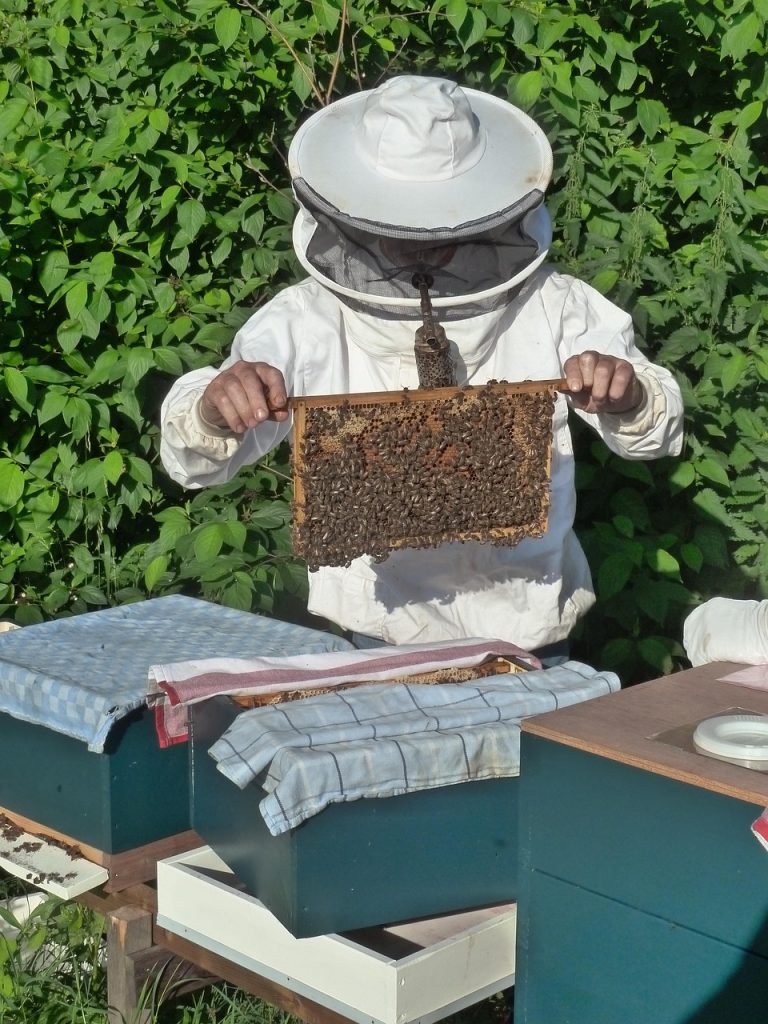 imkerijhaarlem beekeeper 985082 1280