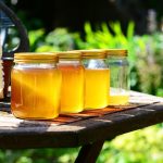 pollydot-honey-352205_1280