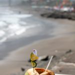 instagramfotografin-coconut-2791982