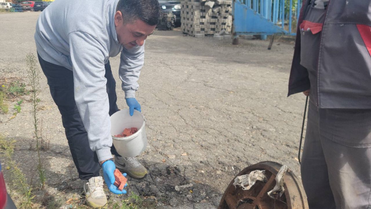 Над 150 канализациски шахти опфатени со дератизација во Македонска Каменица